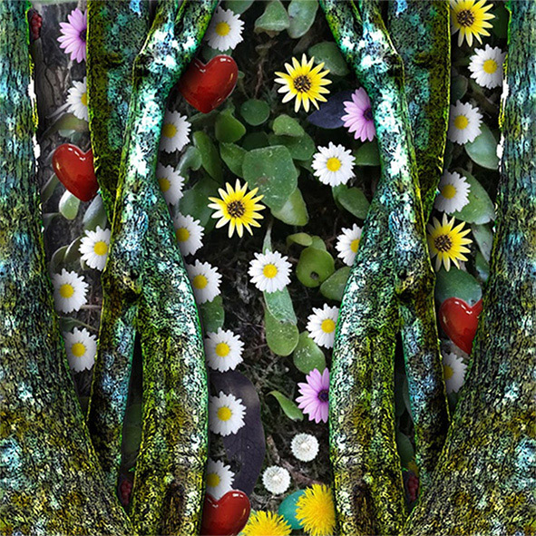 Image #2 of 9: 